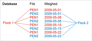 Database with flocks