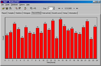 Birds activity during one day